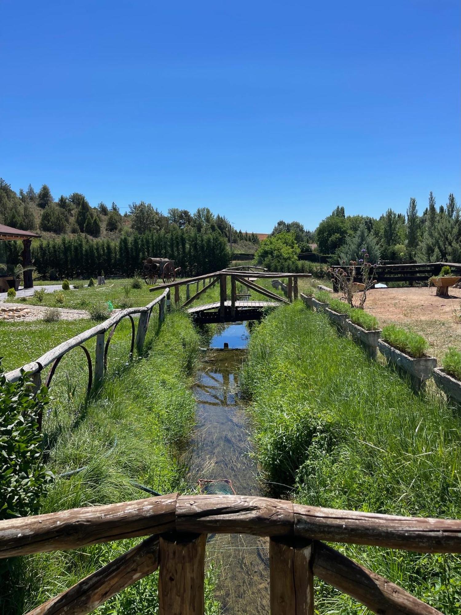 El Burgo De Osma Alojamiento Rural Villa Bagh מראה חיצוני תמונה